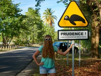 Attention aux tortues marines... Attention aux tortues marines...