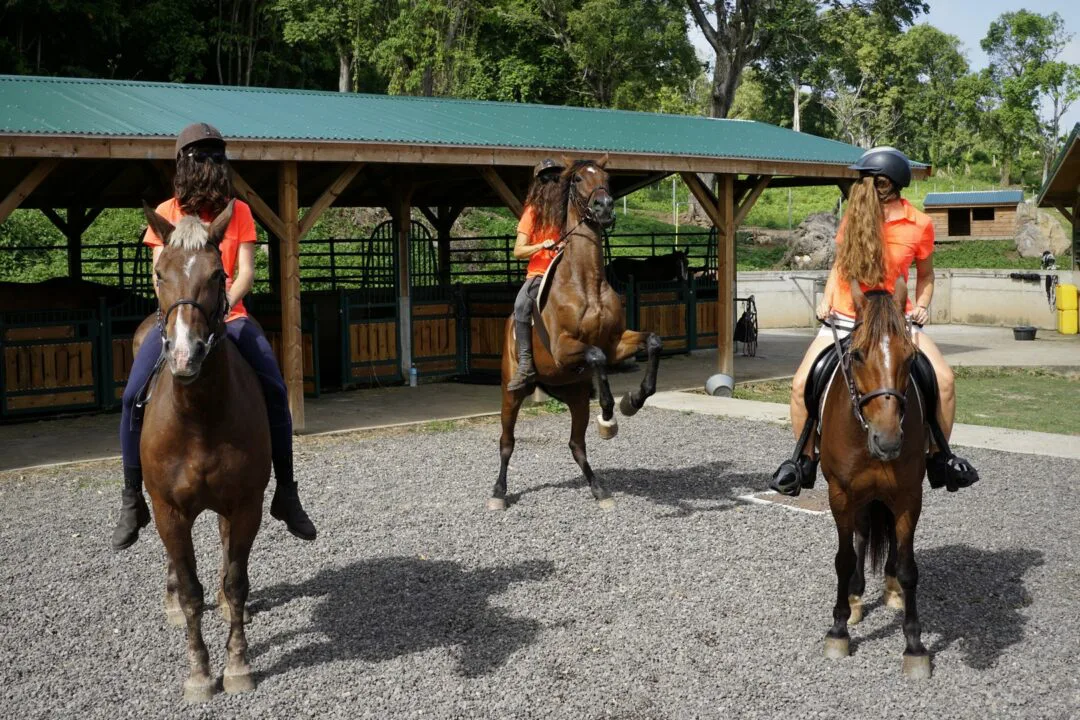Choubaka fait du cheval