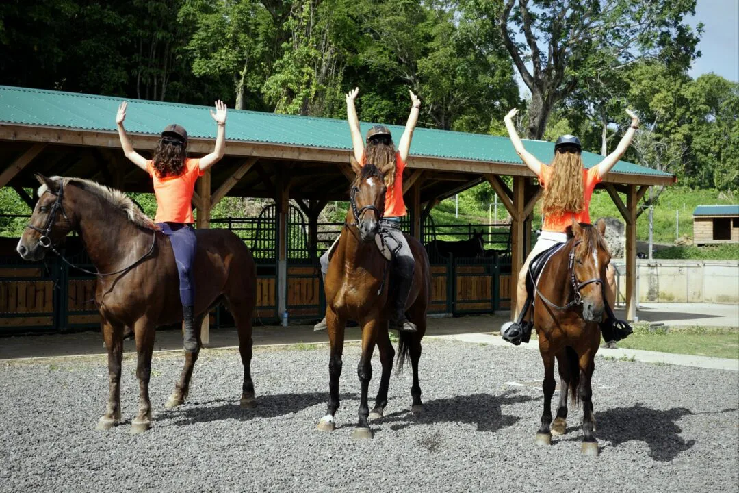 Choubaka fait du cheval