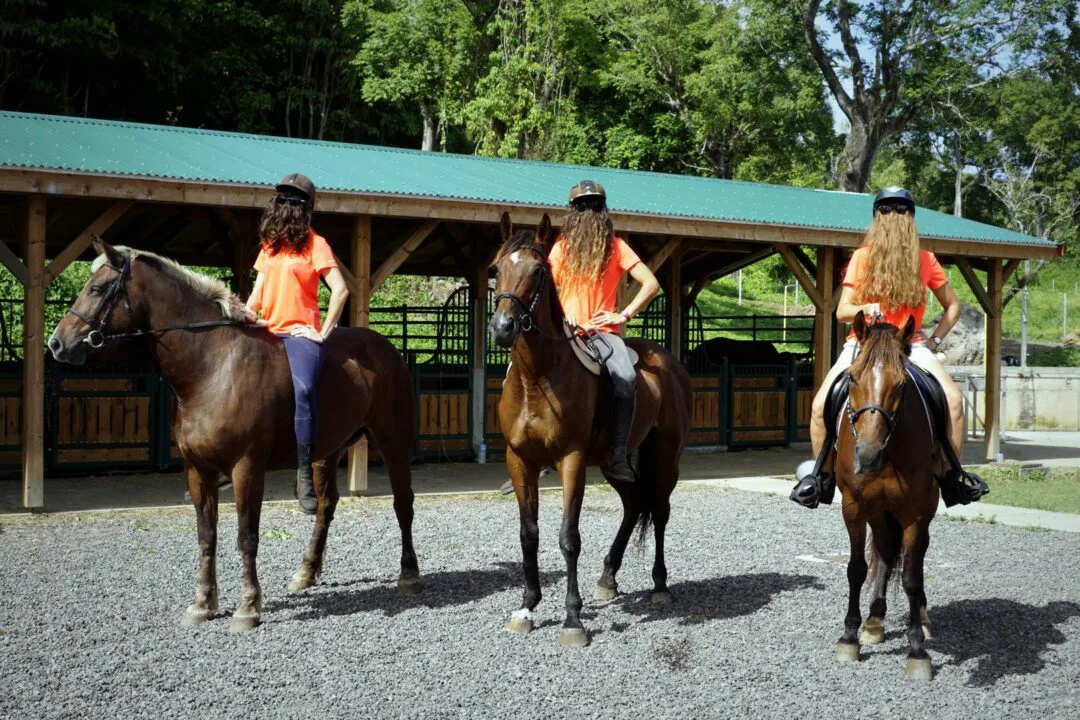 Choubaka fait du cheval