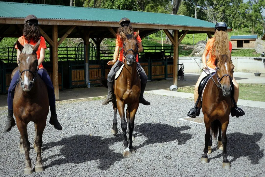 Choubaka fait du cheval